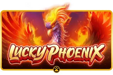 pk casino